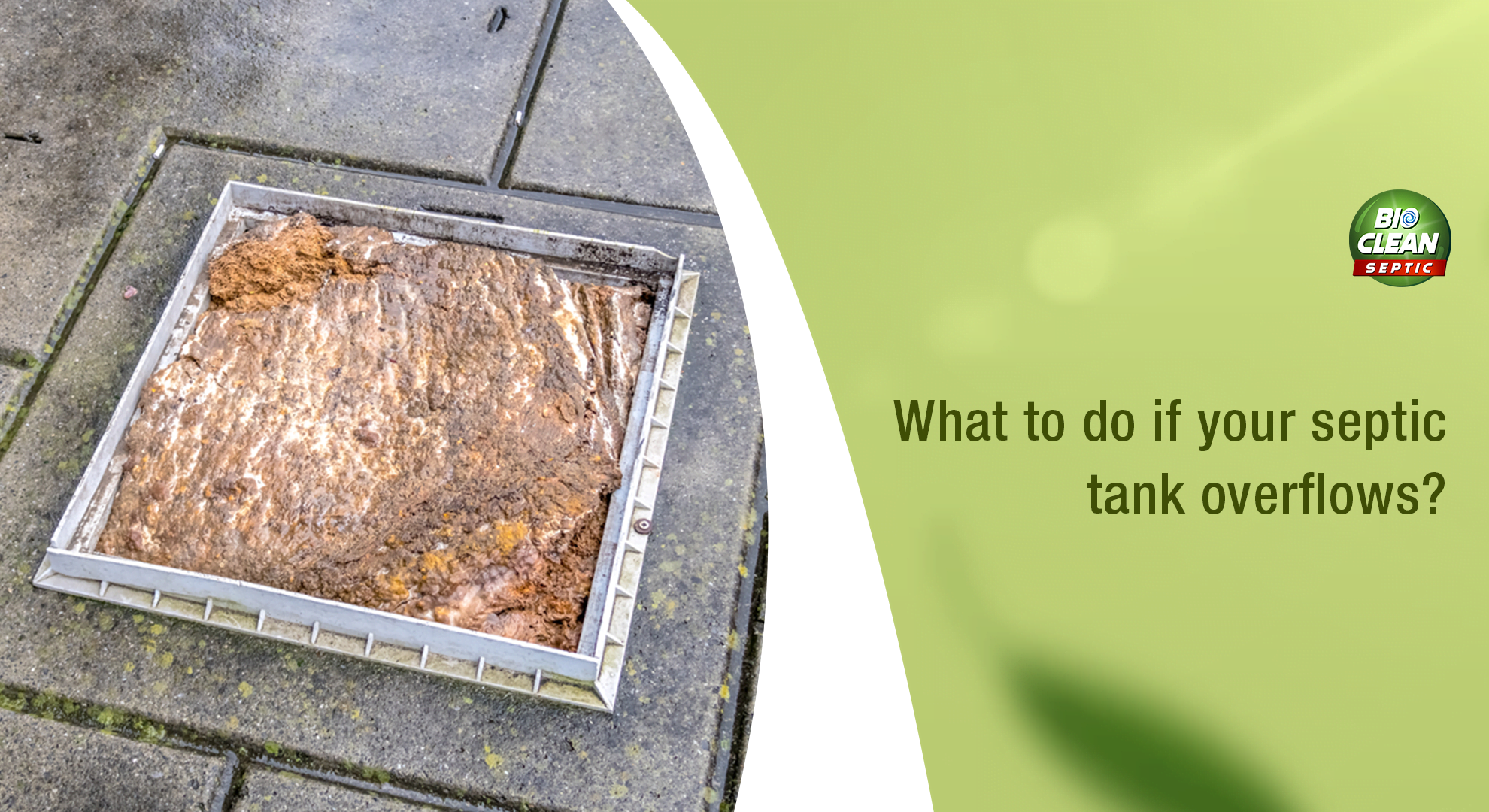 What To Do If Your Septic Tank Overflows?