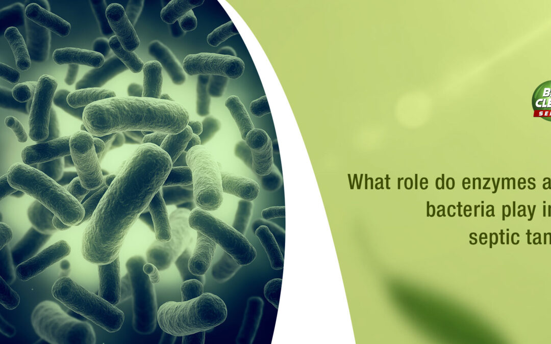 What role do enzymes and bacteria play in a septic tank?